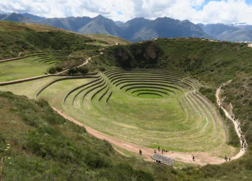Moray
