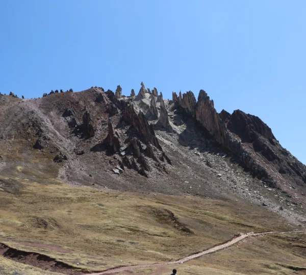 Palcoyo