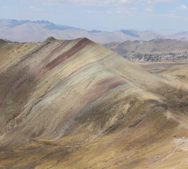 Palcoyo