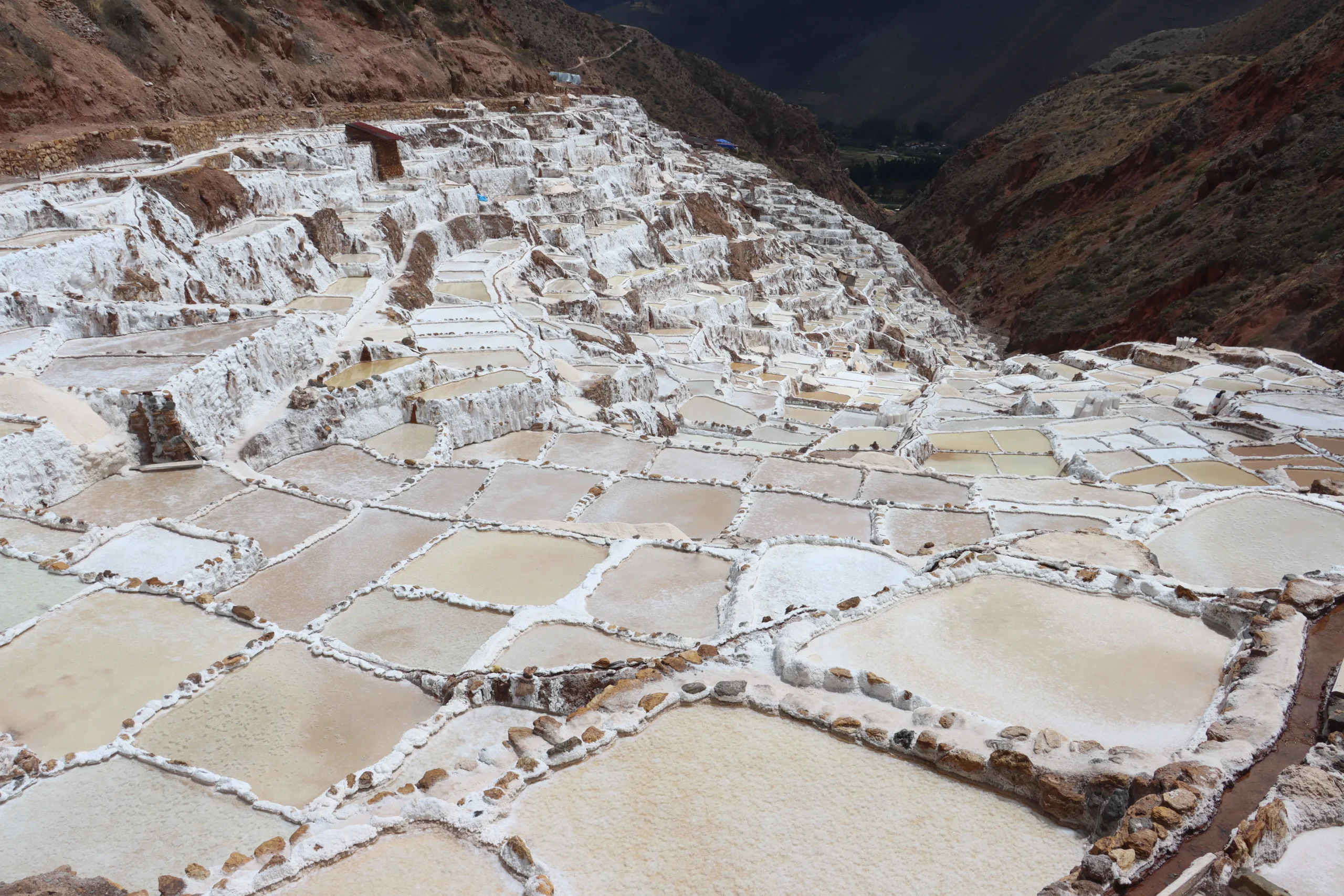 Maras