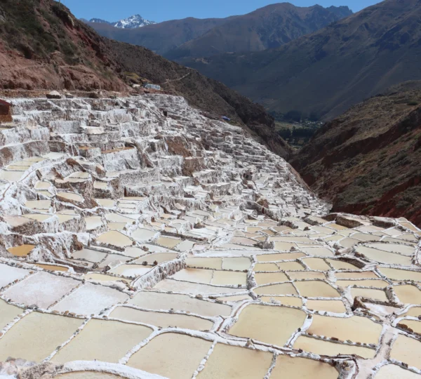 Maras