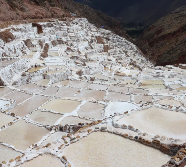 Maras