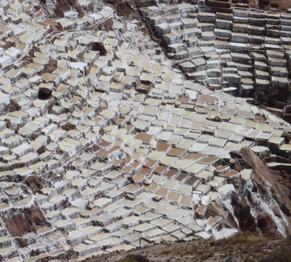 Maras